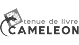 Logo Tenue de livre Caméléon